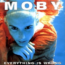Everything Is Wrong