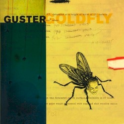 Goldfly