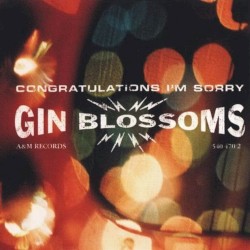 Congratulations I’m Sorry