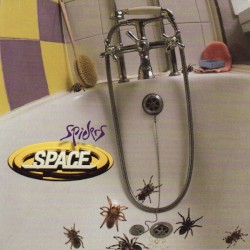 Spiders