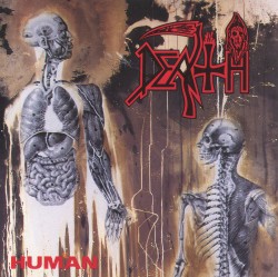 Human