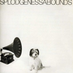 Splodgenessabounds
