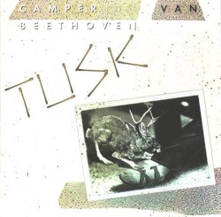 Tusk