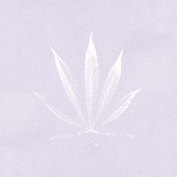 jj n° 2