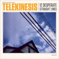 12 Desperate Straight Lines