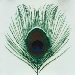 Apple Venus, Volume 1