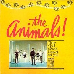 Animal Tracks