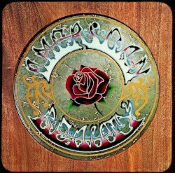 American Beauty