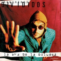 La era de la boludez