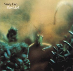 Katy Lied