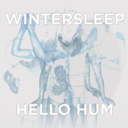 Hello Hum