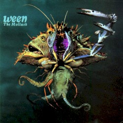 The Mollusk