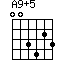 A9+5