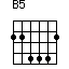B5