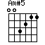 Am(#5)