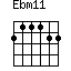 Ebm11