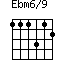Ebm6/9